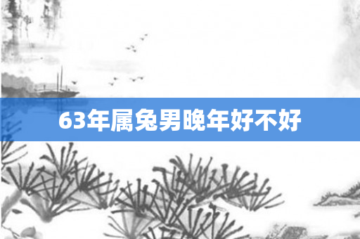 63年属兔男晚年好不好