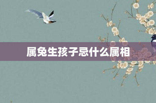 属兔生孩子忌什么属相