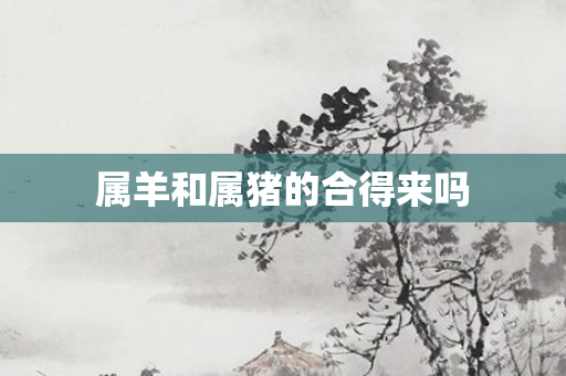 属羊和属猪的合得来吗