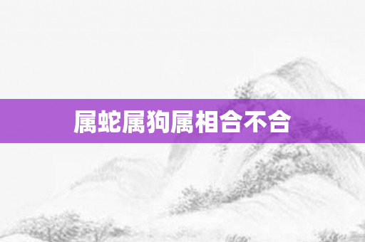 属蛇属狗属相合不合