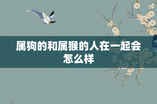 属狗的和属猴的人在一起会怎么样