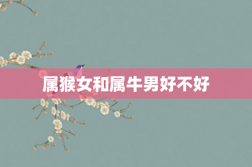 属猴女和属牛男好不好