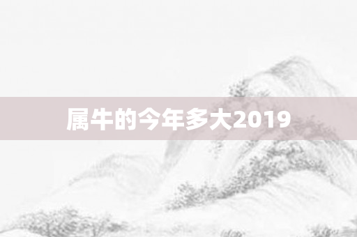 属牛的今年多大2019