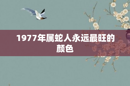 1977年属蛇人永远最旺的颜色