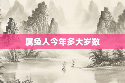 属兔人今年多大岁数
