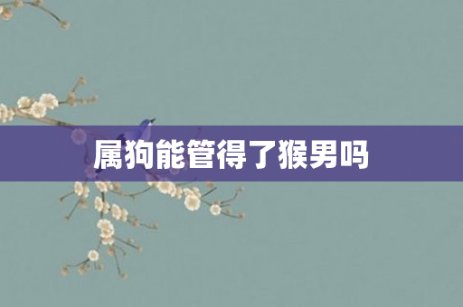 属狗能管得了猴男吗
