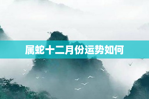 属蛇十二月份运势如何