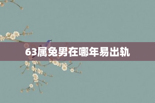 63属兔男在哪年易出轨