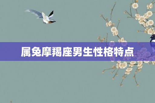 属兔摩羯座男生性格特点