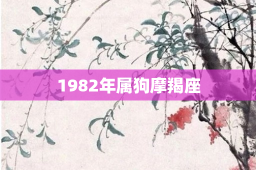 1982年属狗摩羯座