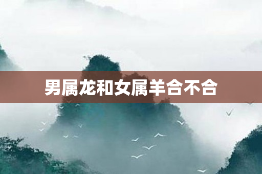 男属龙和女属羊合不合