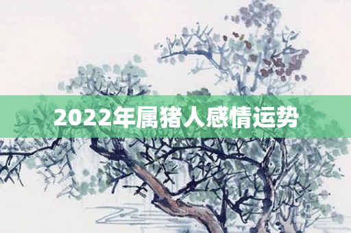 2022年属猪人感情运势