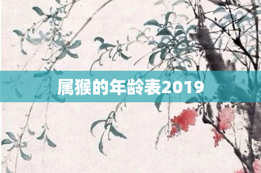 属猴的年龄表2019