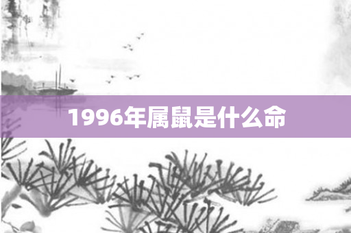 1996年属鼠是什么命