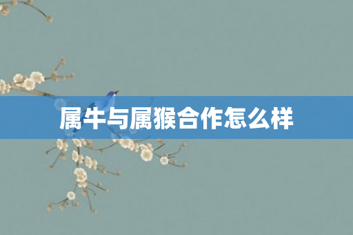 属牛与属猴合作怎么样