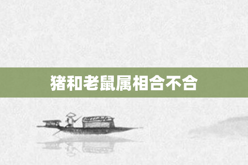 猪和老鼠属相合不合