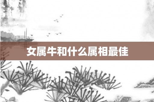女属牛和什么属相更佳