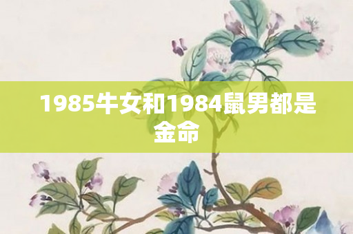1985牛女和1984鼠男都是金命
