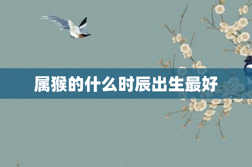 属猴的什么时辰出生更好