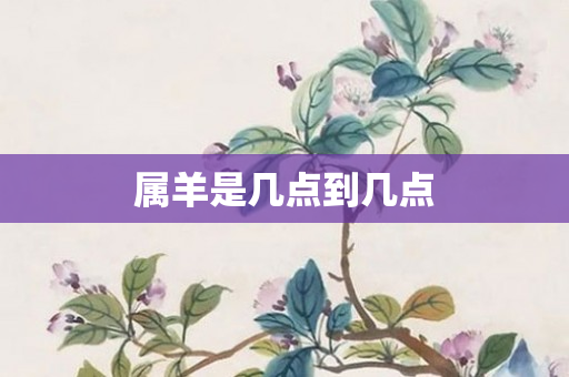 属羊是几点到几点