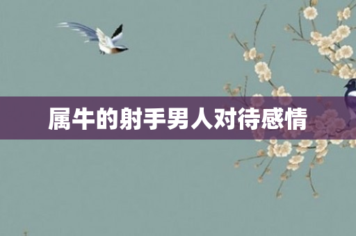 属牛的射手男人对待感情