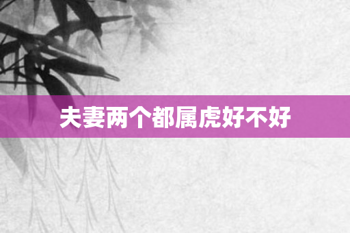 夫妻两个都属虎好不好