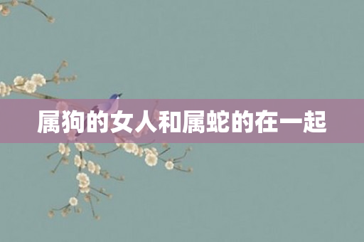 属狗的女人和属蛇的在一起