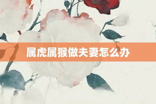 属虎属猴做夫妻怎么办