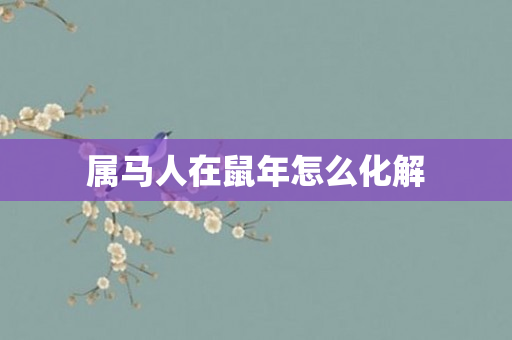 属马人在鼠年怎么化解