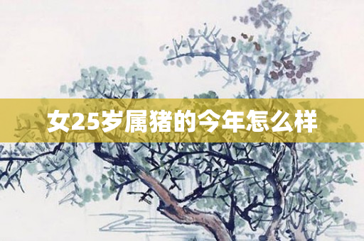 女25岁属猪的今年怎么样