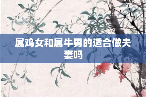 属鸡女和属牛男的适合做夫妻吗