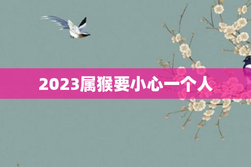 2023属猴要小心一个人