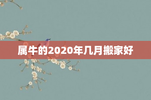 属牛的2020年几月搬家好