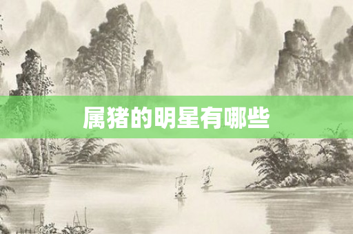 属猪的明星有哪些
