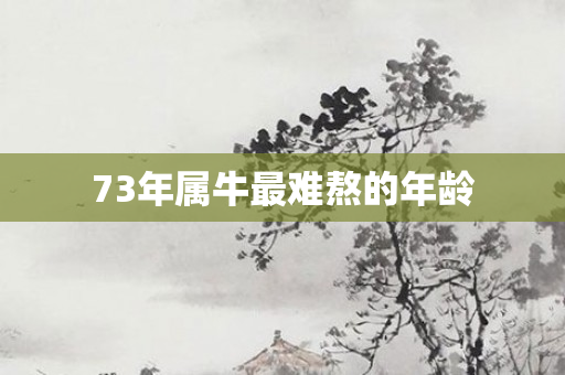 73年属牛最难熬的年龄