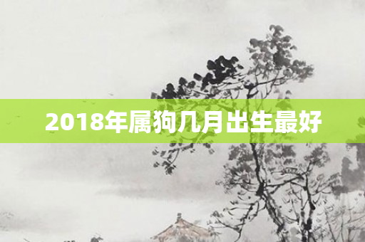 2018年属狗几月出生更好