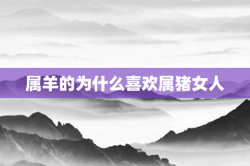 属羊的为什么喜欢属猪女人