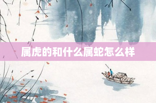 属虎的和什么属蛇怎么样