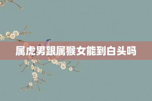 属虎男跟属猴女能到白头吗
