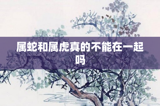 属蛇和属虎真的不能在一起吗