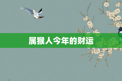 属猴人今年的财运