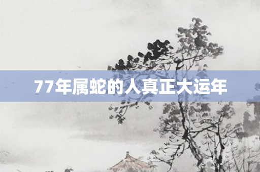 77年属蛇的人真正大运年