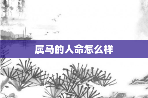 属马的人命怎么样