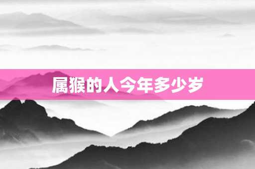属猴的人今年多少岁