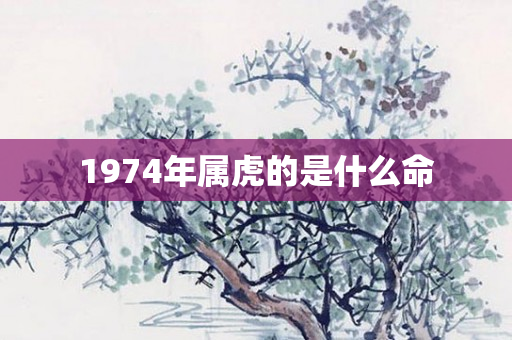 1974年属虎的是什么命