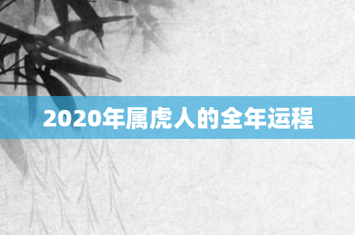 2020年属虎人的全年运程