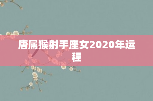唐属猴射手座女2020年运程