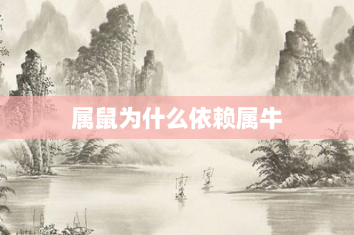 属鼠为什么依赖属牛