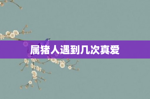 属猪人遇到几次真爱