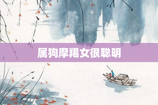 属狗摩羯女很聪明